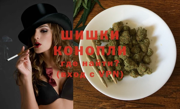дмт Лиски