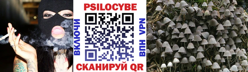Купить где  Лениногорск  Галлюциногенные грибы Psilocybine cubensis 